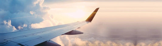 Calming your Pet when Flying