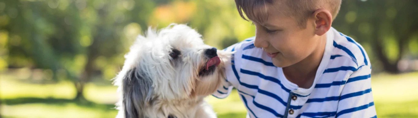 Is Fish Oil Good For Dogs?