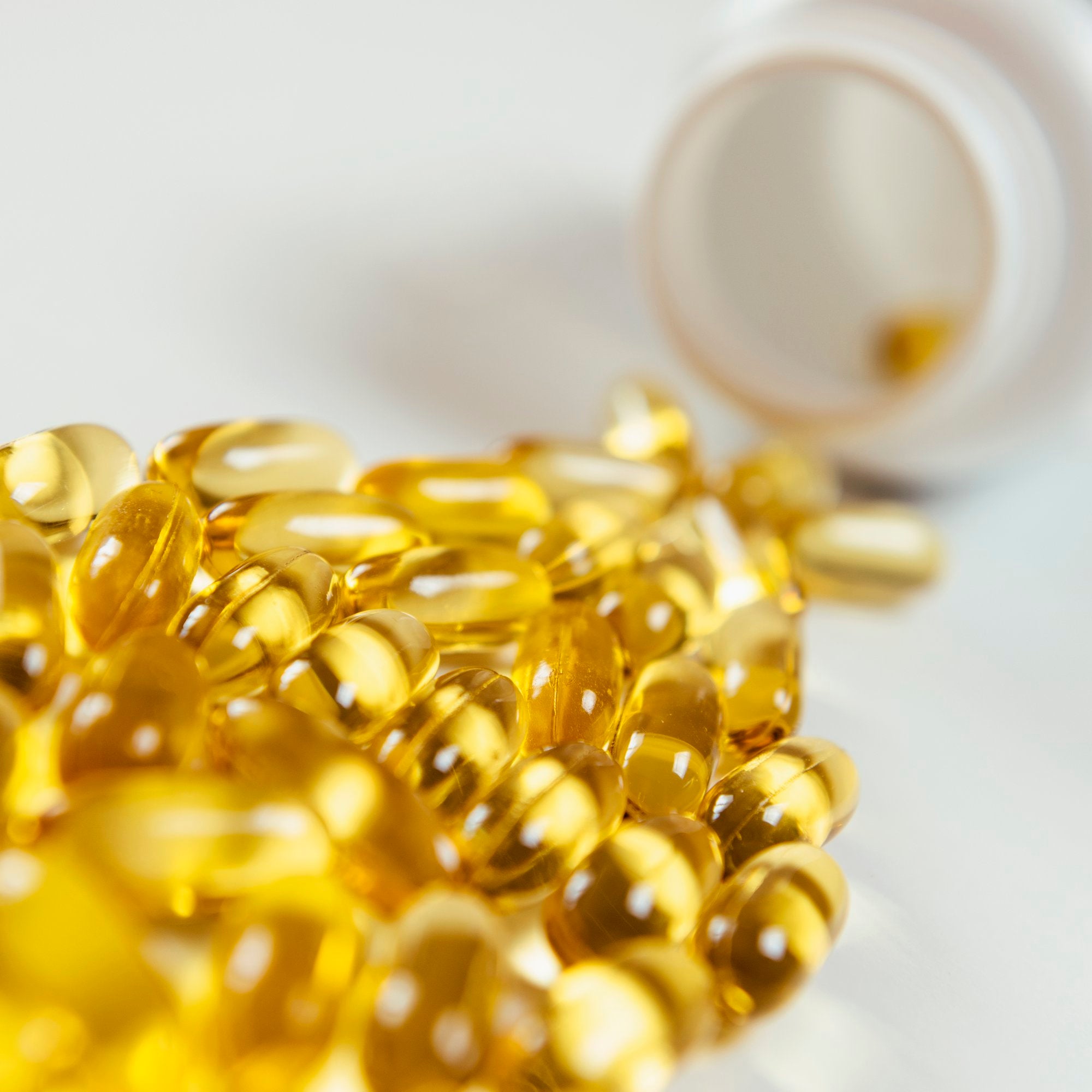 Fatty Acids for Dogs Skin and Haircoat Health