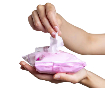 Can You Use Baby Wipes on Dogs? Dog Wipes vs Baby Wipes | Pet Parents®