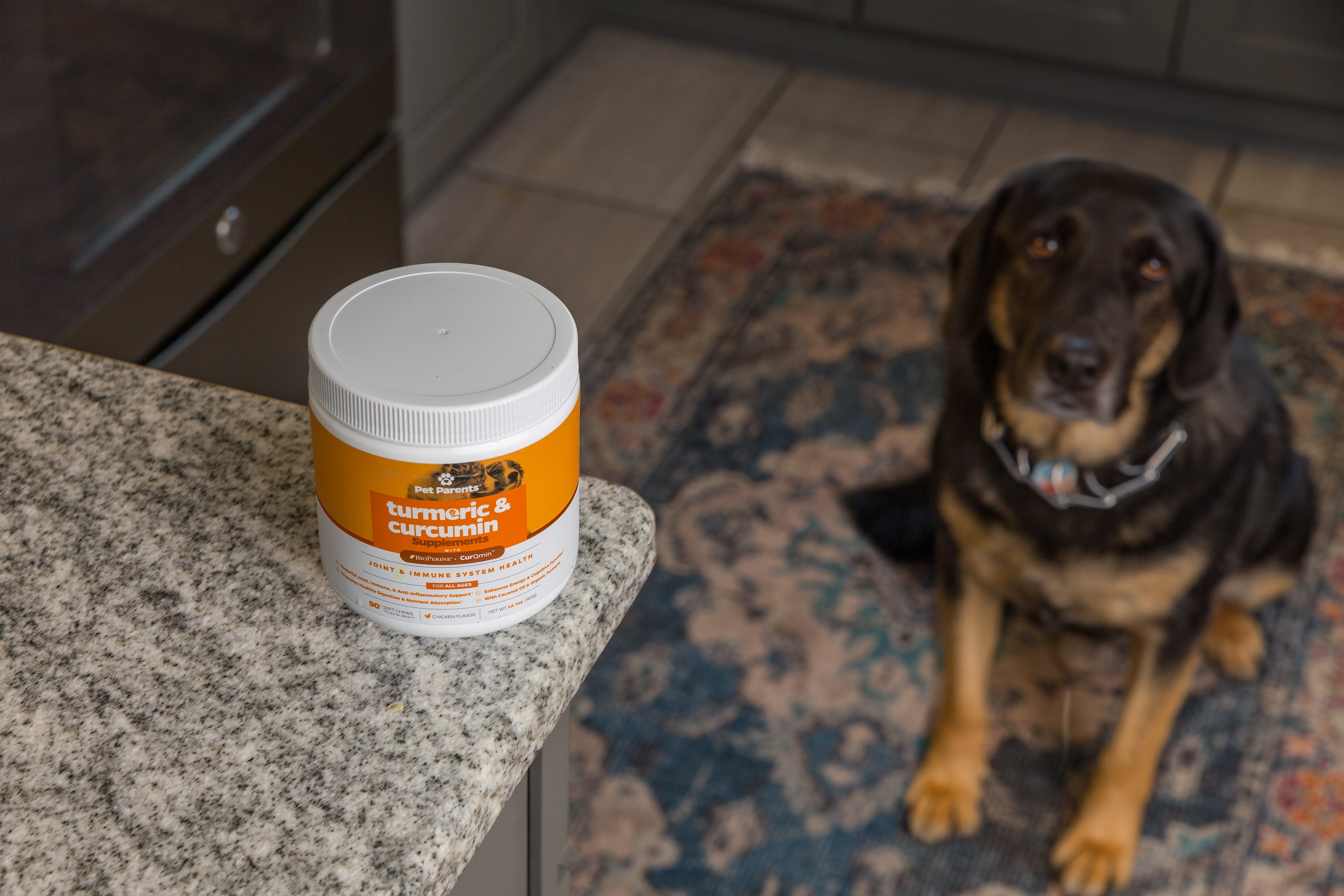 Is Turmeric Good for Dogs?