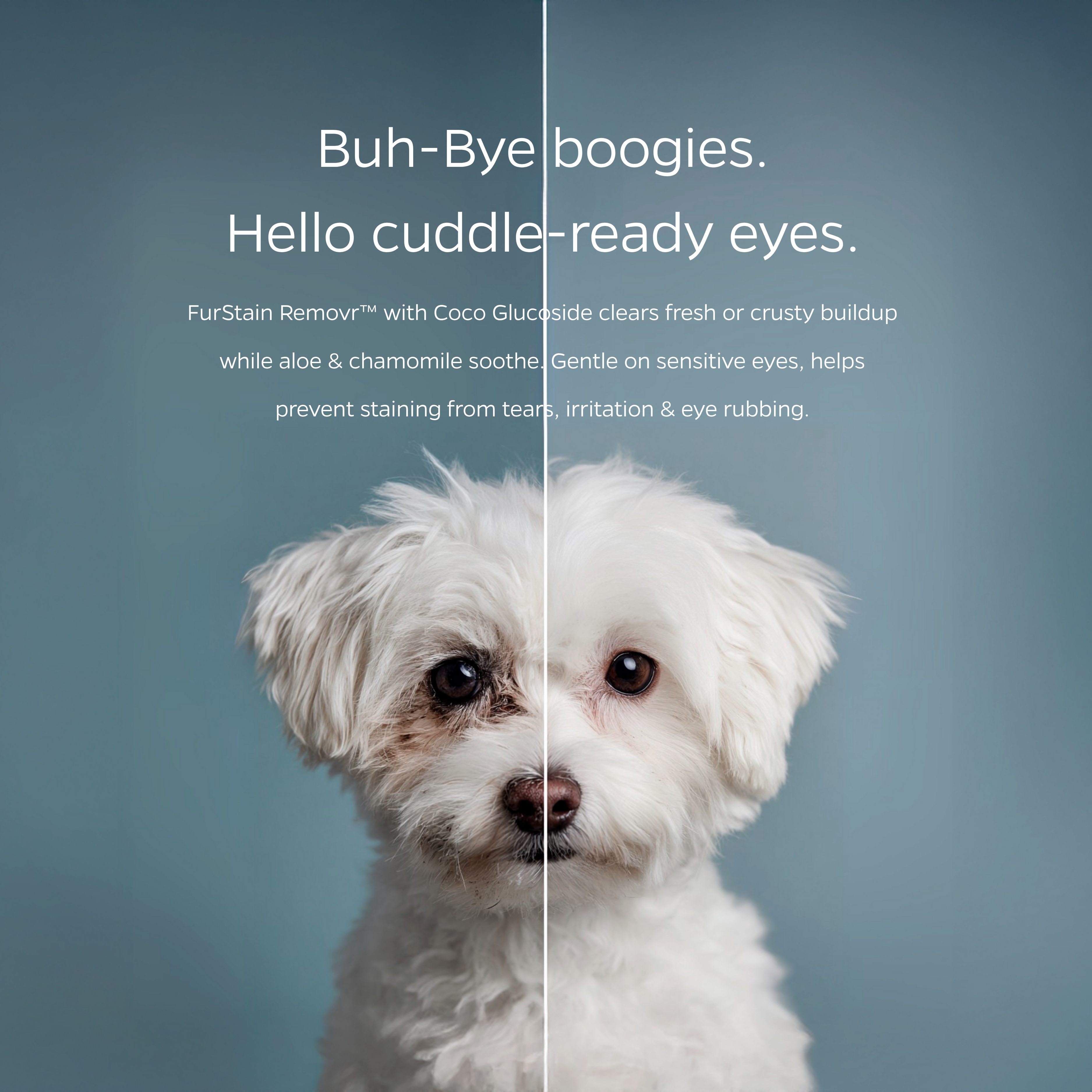 Eye Pet WiPees™