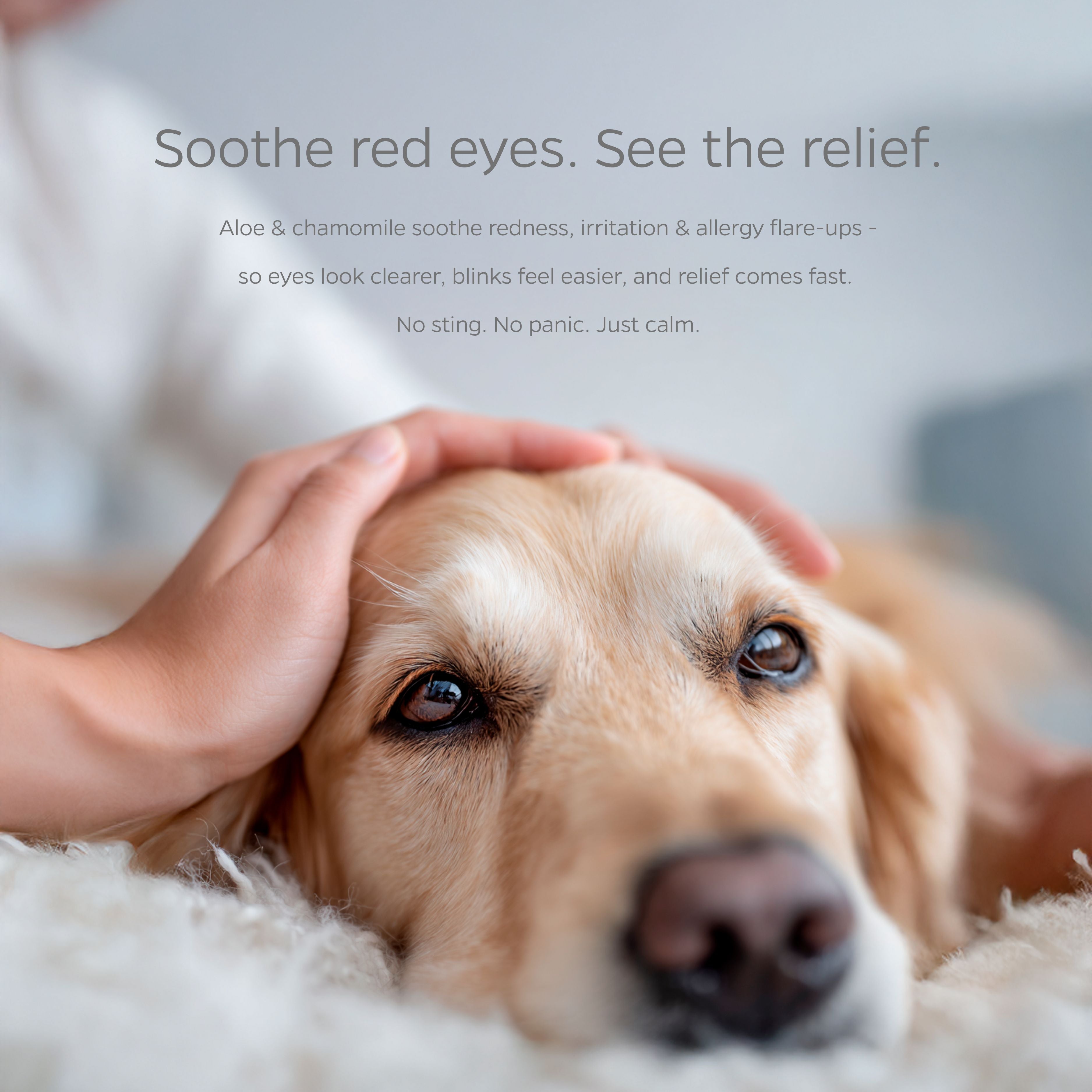 Eye Pet WiPees™