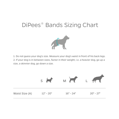 DiPees™ + Odor Control Disposable Belly Bands