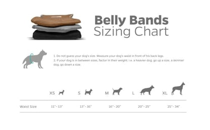 Belly Bands (3-Pack) + Extendrs®