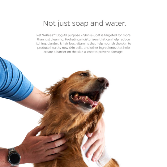 Dog wipes for urine clearance