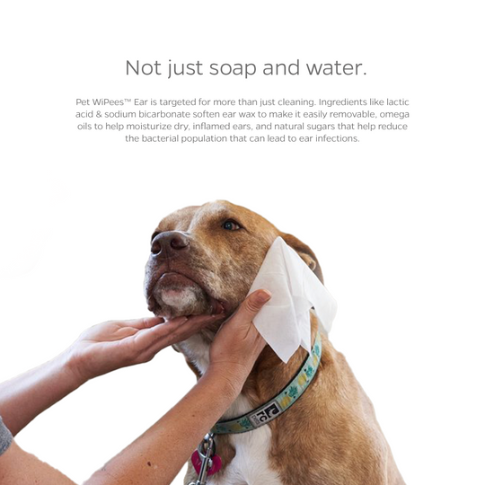 Ear Mites Ear Cleaner For Dogs Diy Ear Mites Cleaning Out Dogs