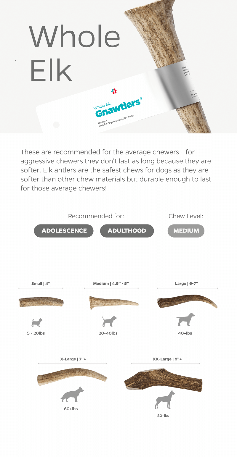 Gnawtlers antlers sales