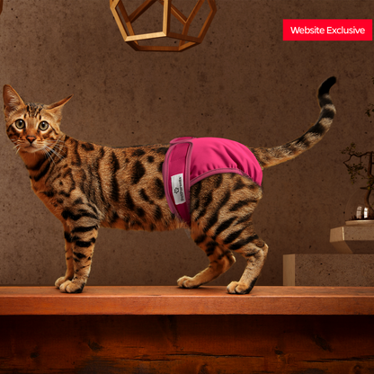 Cat Diapers (3-Pack)