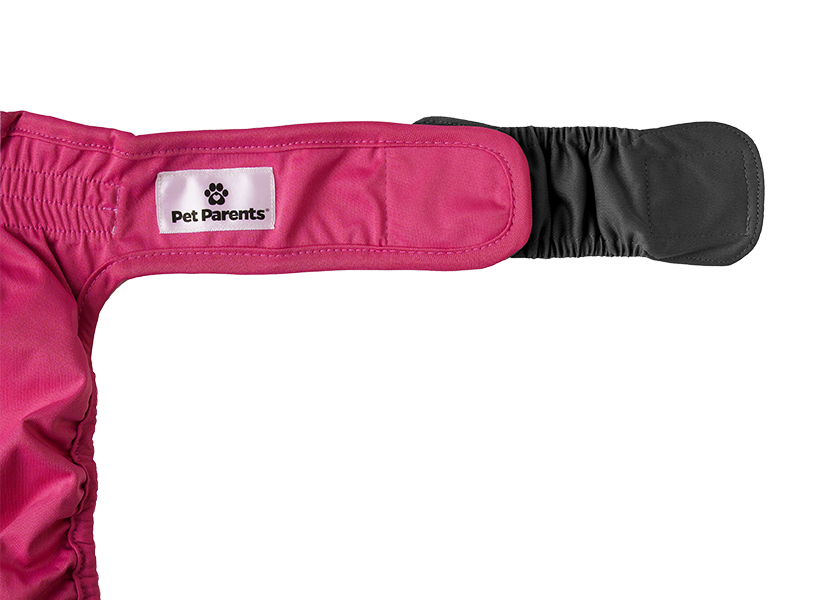 Cat Diapers (3-Pack)