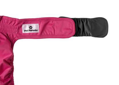 Cat Diapers (3-Pack)