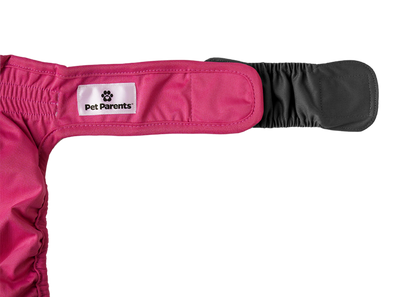 Dog Diapers (3-Pack) + Extendrs®