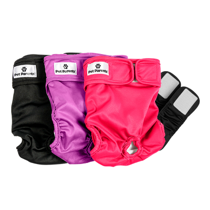 Cat Diapers (3-Pack)