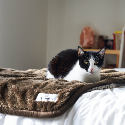 Pawtect® Blanket