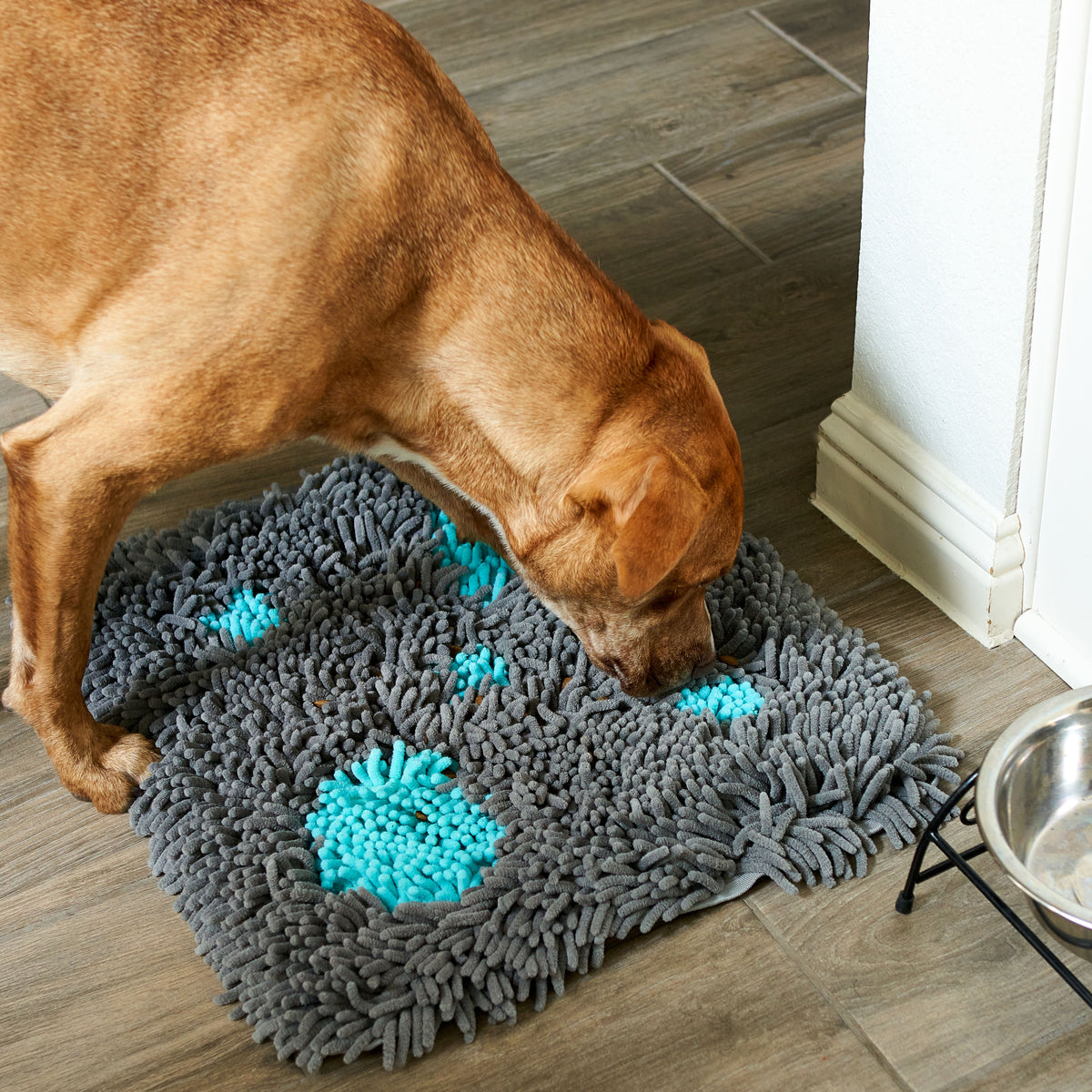 Pet Parents Forager Mat