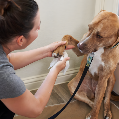 Dog All Purpose + Allergy Pet WiPees™