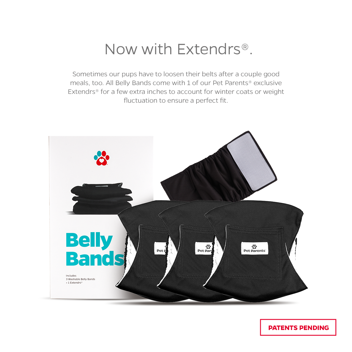 Belly Bands (3-Pack) + Extendrs®