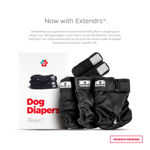 Extra large best sale female dog diapers