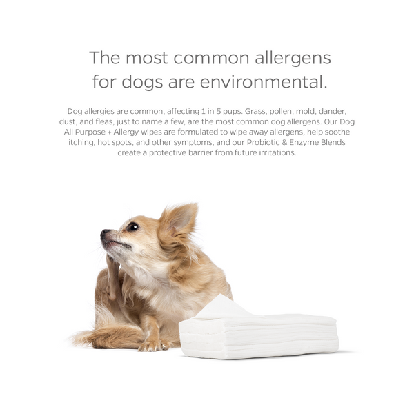 Pet WiPees Dog Wipes All Purpose Allergy Dog Grooming Wipes