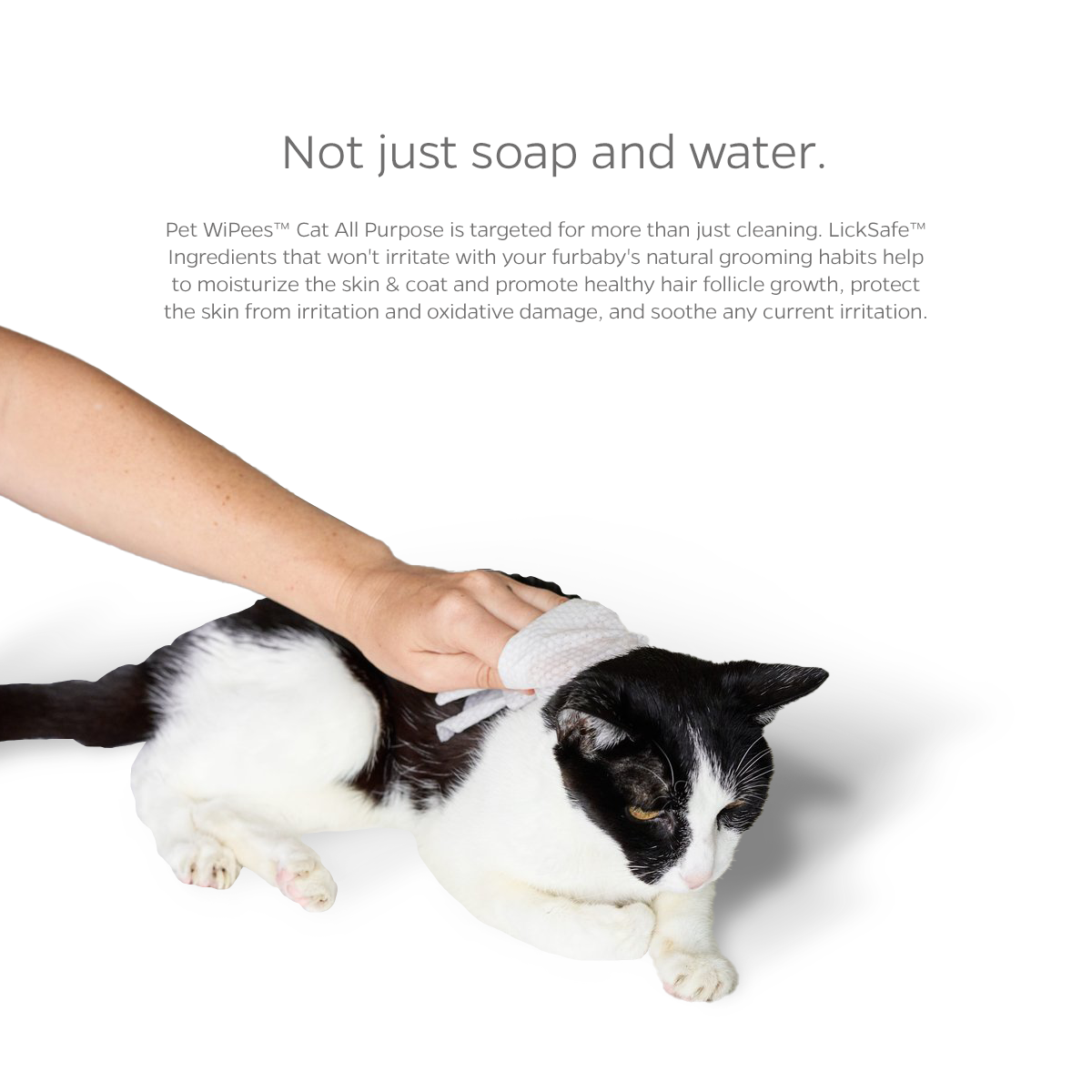 Pet WiPees Cat Wipes All Purpose Cat Grooming Wipes Cat