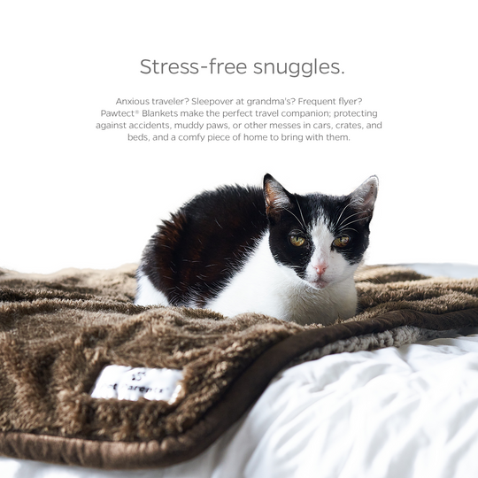 Heavy duty blankets for dogs hotsell