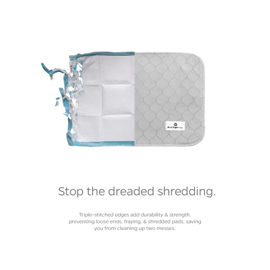 Pet parents pee pads best sale