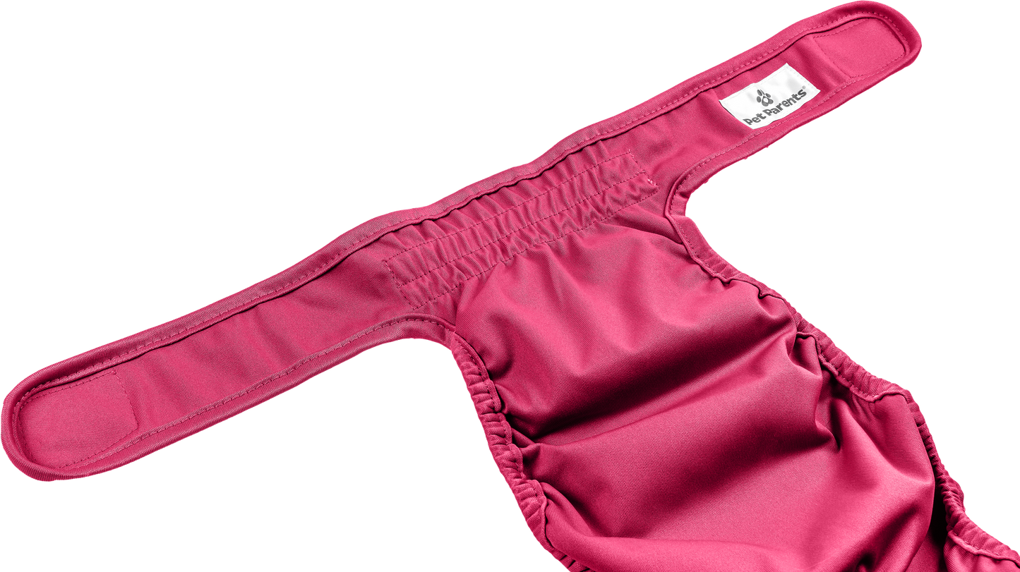 Cat Diapers (3-Pack)