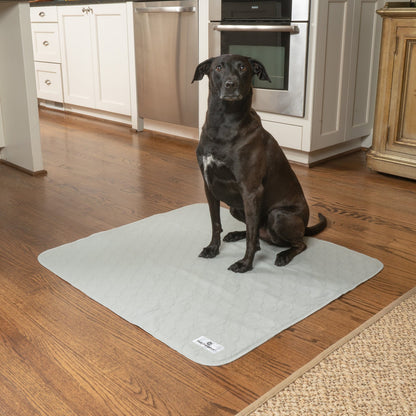 Pawtect® Pads (2pack)