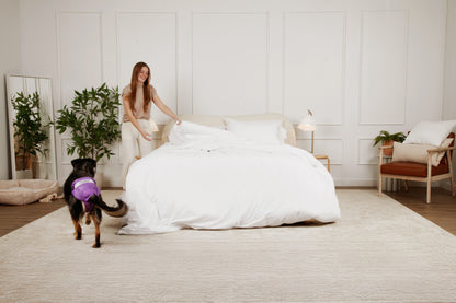 DiPees™ Disposable Dog Diapers