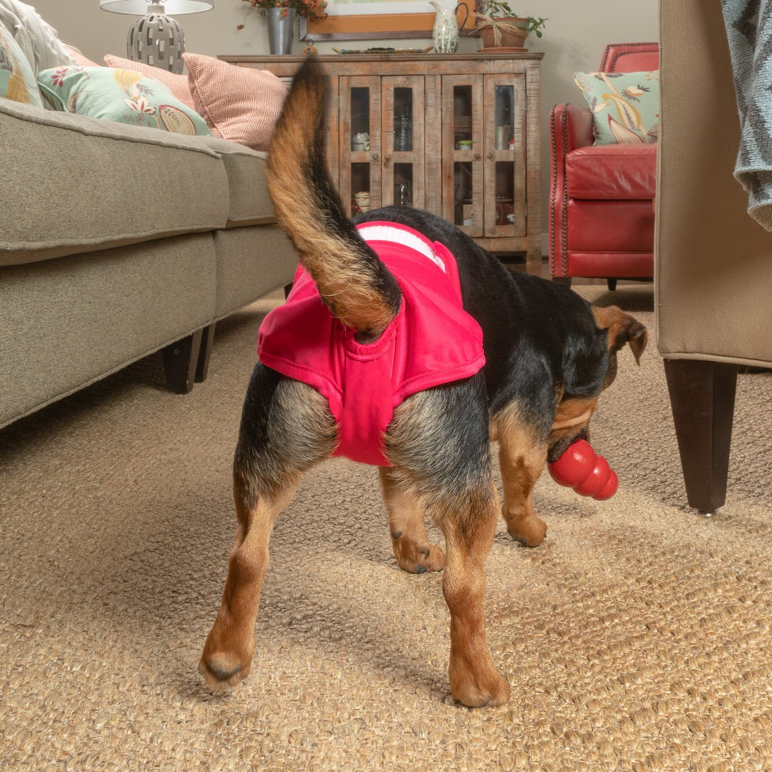 Dog Diapers (3-Pack) + Extendrs®