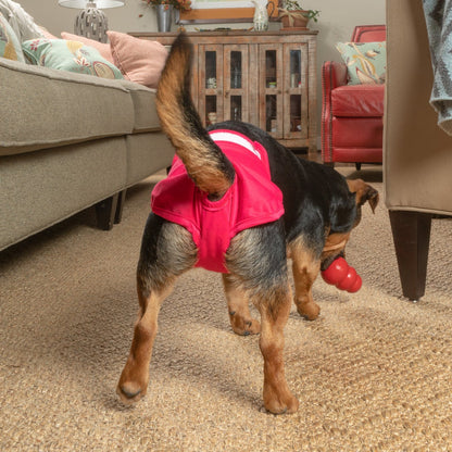 Dog Diapers (3-Pack) + Extendrs®