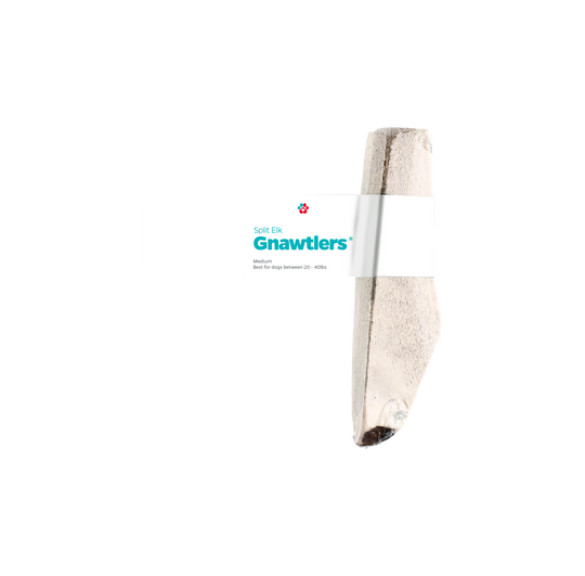 Gnawtlers USA Premium Antlers For Dogs Natural Shed Antler