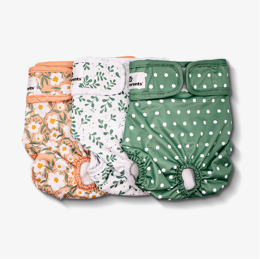 Dog Diapers (3-Pack) + Extendrs®