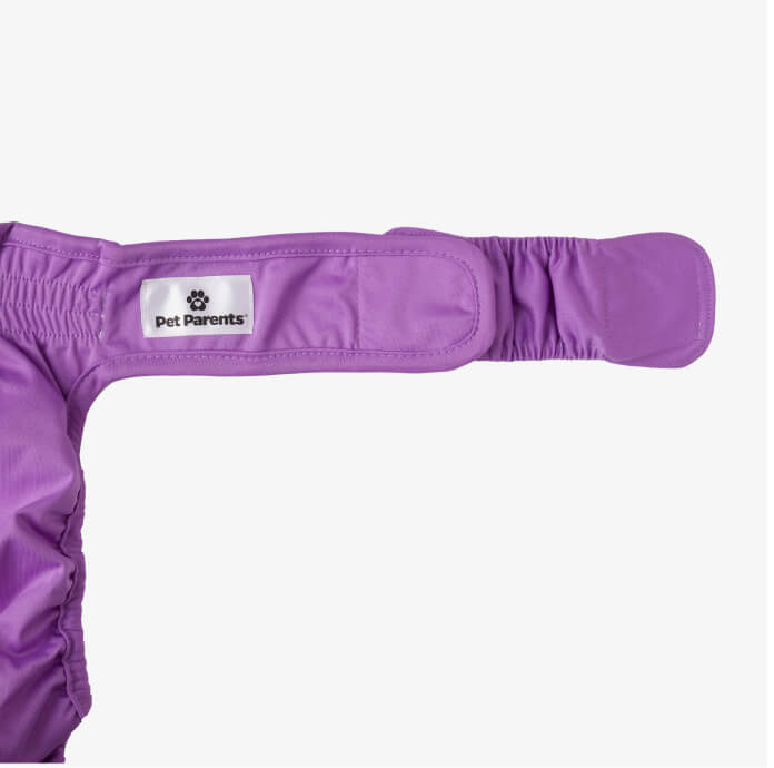 Extendrs® (5-Pack)