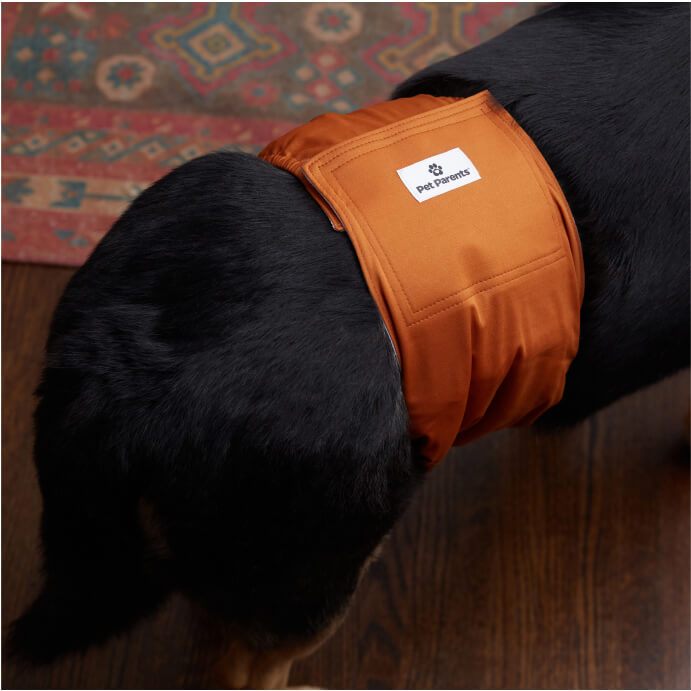 Extendrs® (5-Pack)