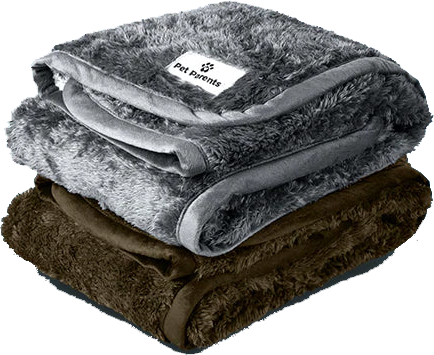 block-pawtect blanket regular