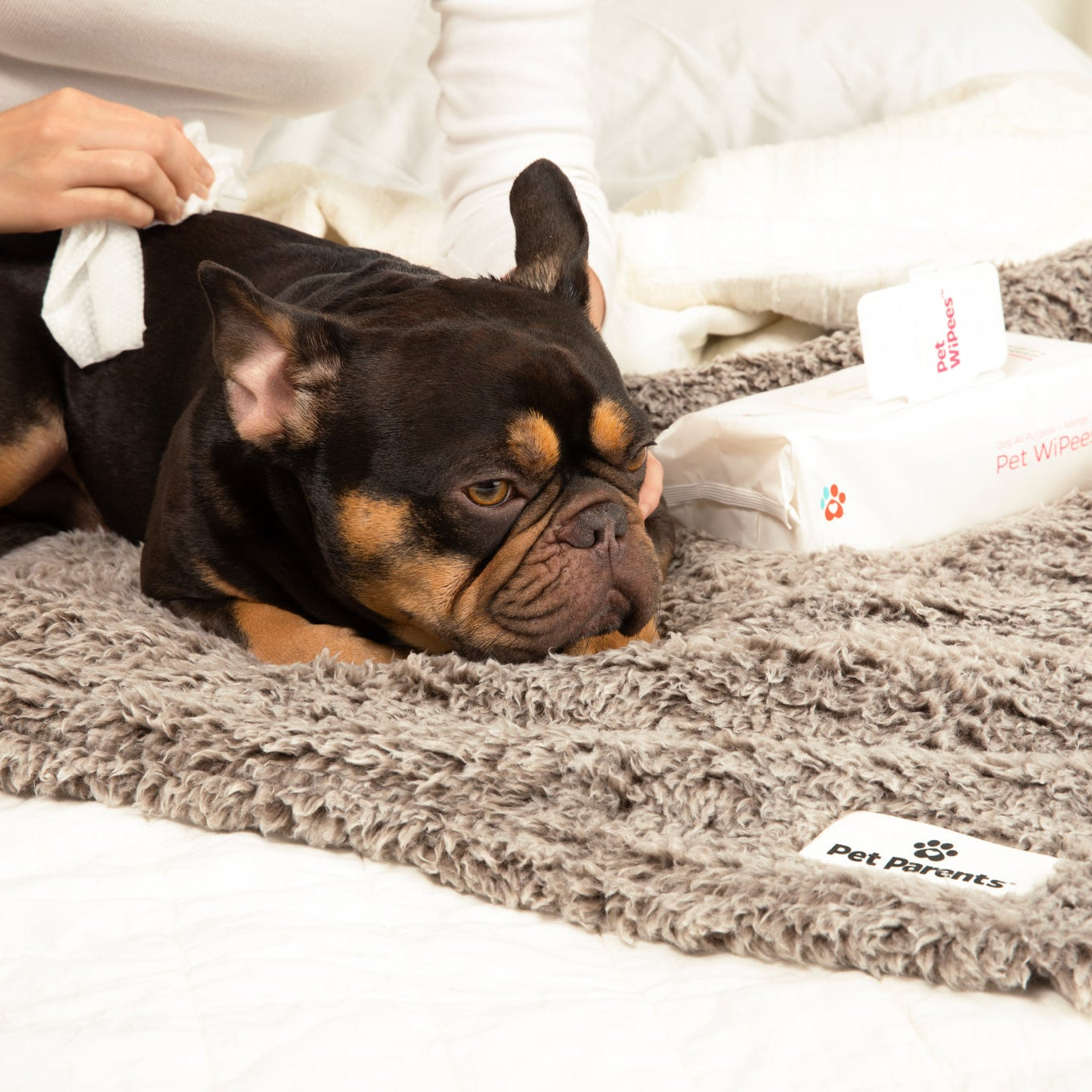 Dog All Purpose + Allergy Pet WiPees™