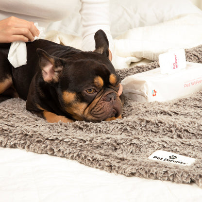 Dog All Purpose + Allergy Pet WiPees™