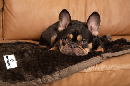 Pawtect® Blanket