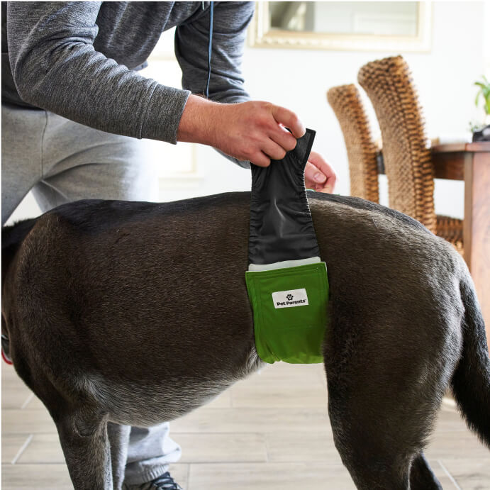 Belly Bands (3-Pack) + Extendrs®