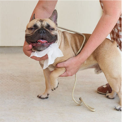 Antiseptic Pet WiPees™