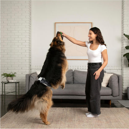 DiPees™ + Odor Control Disposable Belly Bands