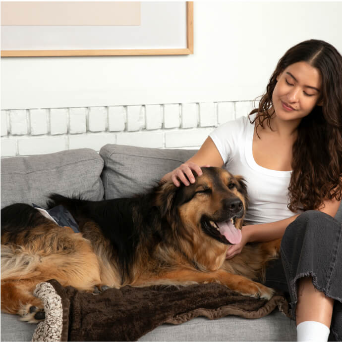 DiPees™ + Odor Control Disposable Belly Bands