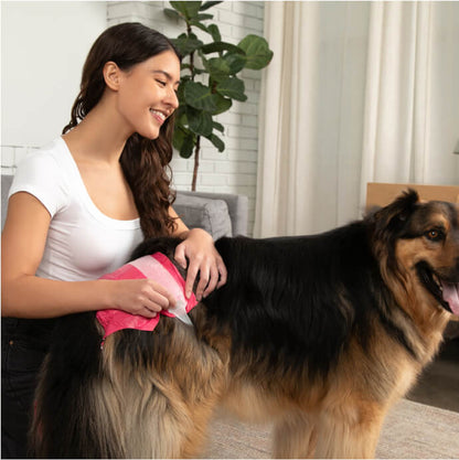 DiPees™ Disposable Dog Diapers