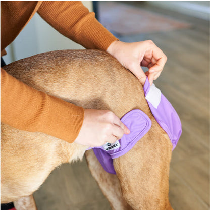 Dog Diapers (3-Pack) + Extendrs®