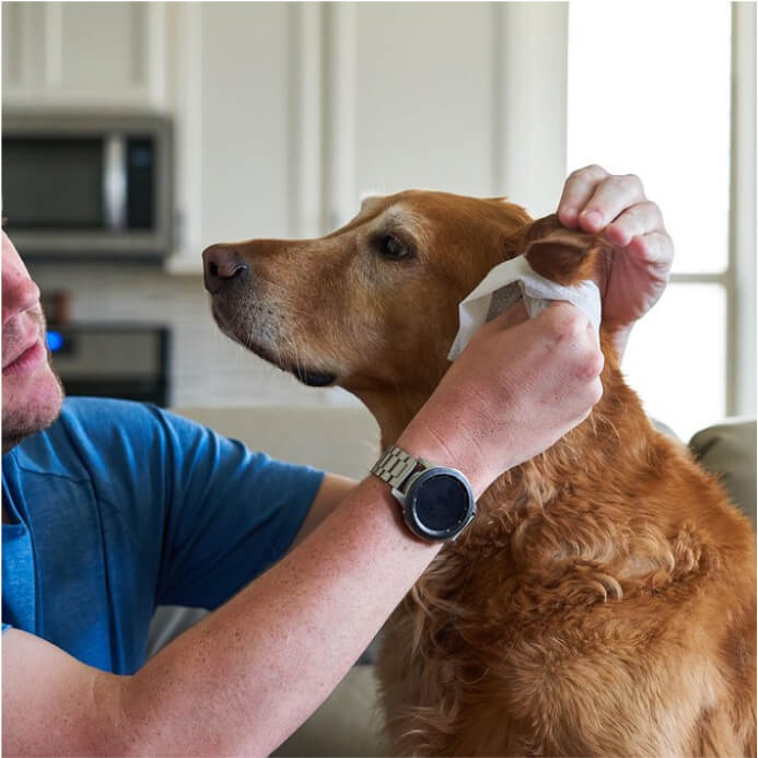 Ear Pet WiPees™