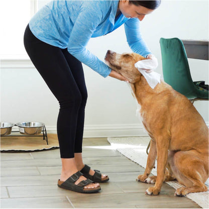 Flea & Tick Pet WiPees™