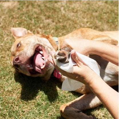 Flea & Tick Pet WiPees™