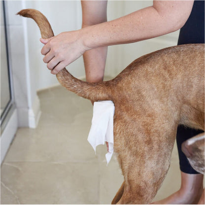 Gland Pet WiPees™