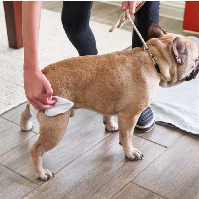 Gland Pet WiPees™